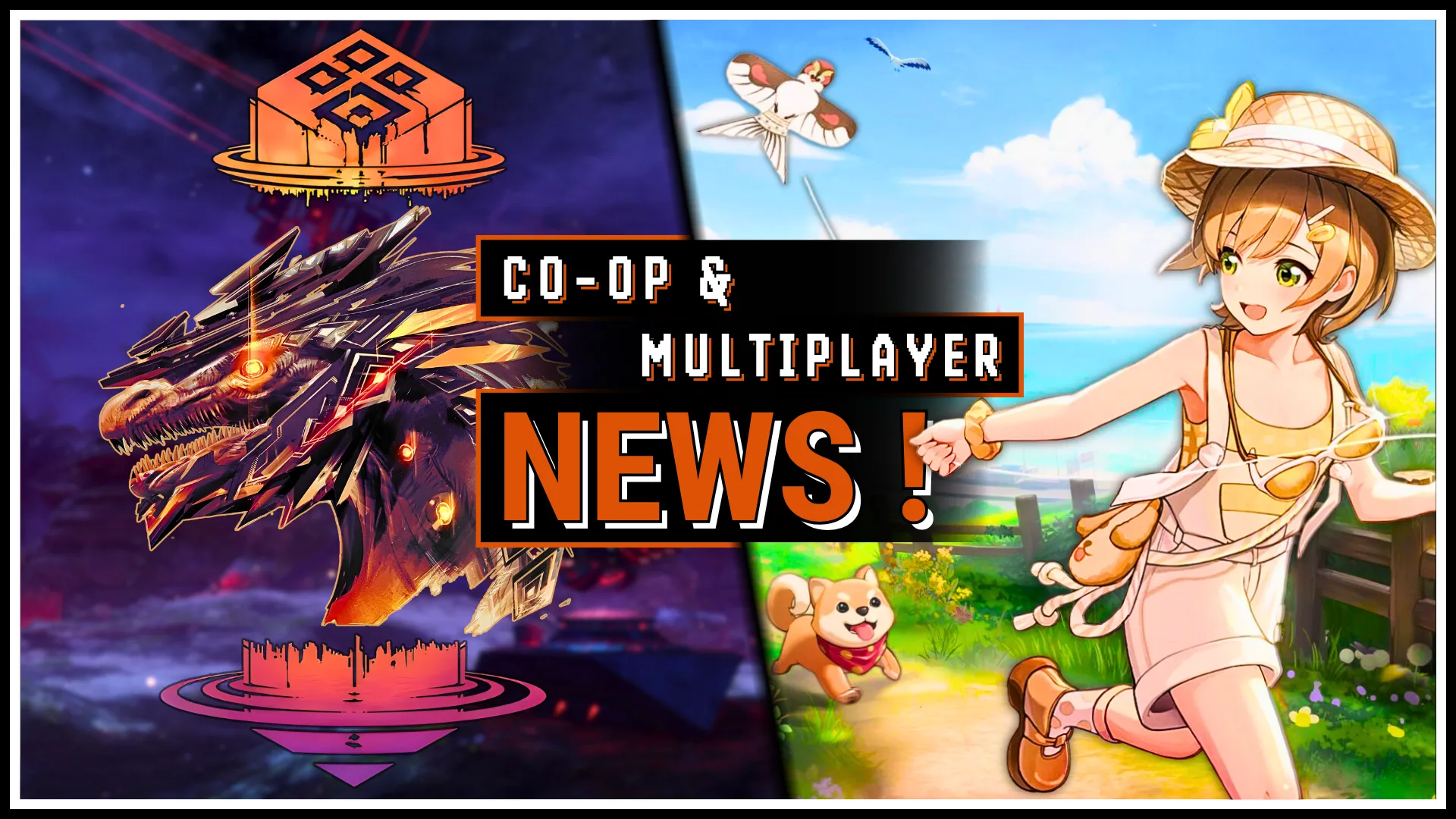 Weekly Co-op News Episode 38 Out Now!